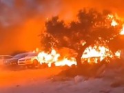 مستوطنون يحرقون أراضي زراعية و"مشطب" مركبات في يتما جنوب نابلس