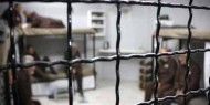المعتقل علي صبيح يدخل عامه الـ 24 في سجون الاحتلال