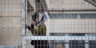 نادي الأسير: ارتفاع عدد الأسيرات المعتقلات إداريا في سجون الاحتلال إلى 25