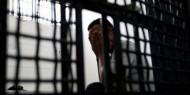 ثلاثة معتقلين من جنين يدخلون أعوامهم الـ22 في سجون الاحتلال